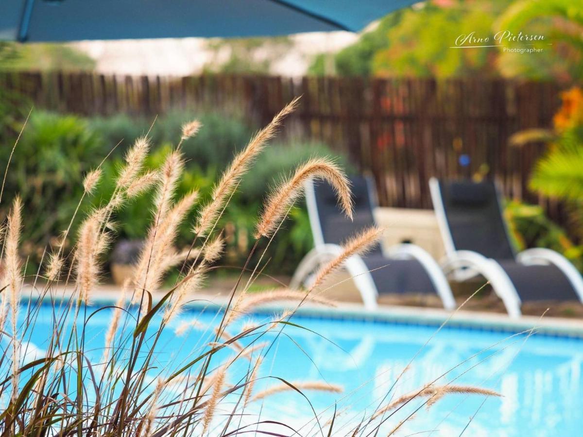 Fever Tree Guesthouse Хиллкрест Экстерьер фото